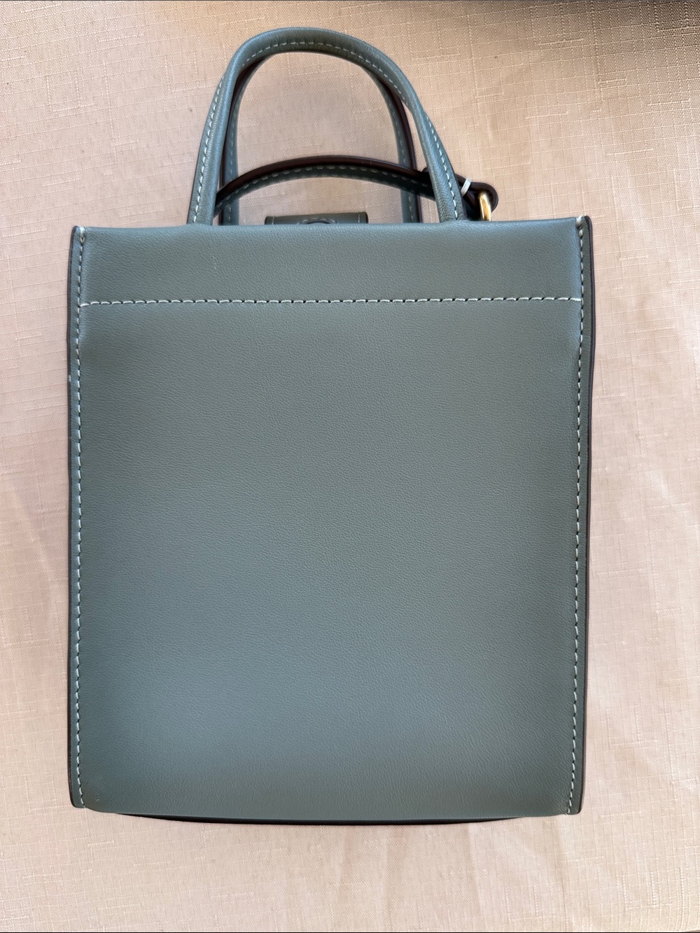 Coach Mini chasin Top-Handle Bag in Sage Green